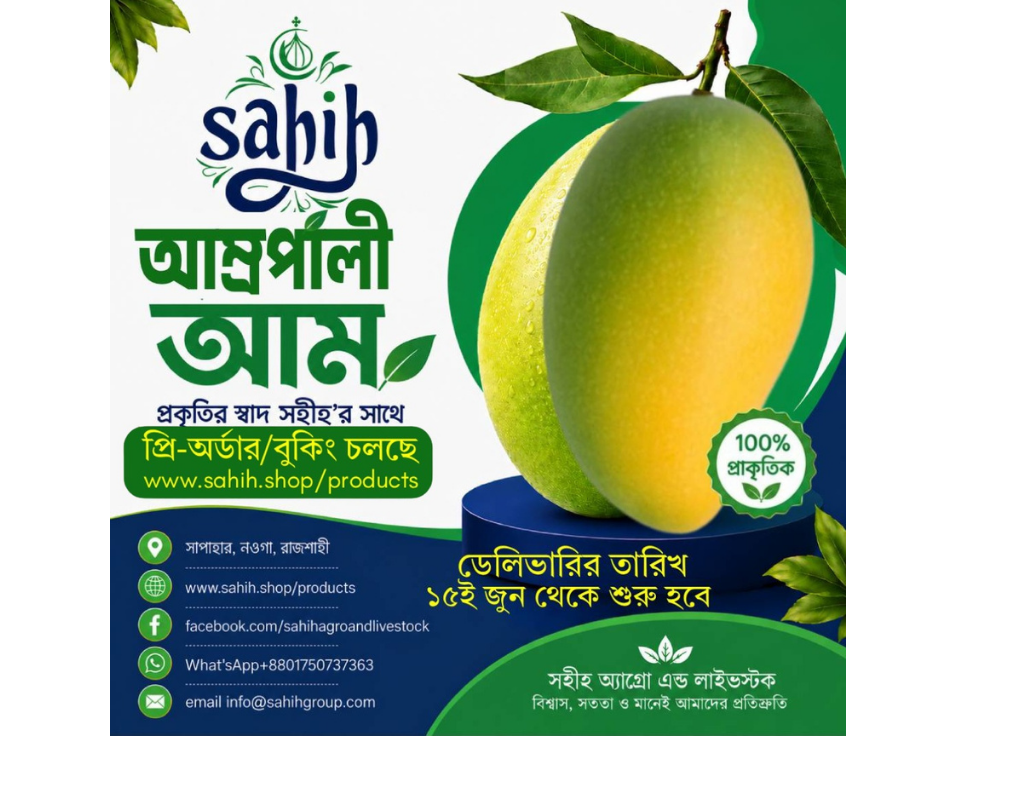 Sahih Fresh Amropali Mango (আম্রপালি,সাপাহার)+ডেলিভারি