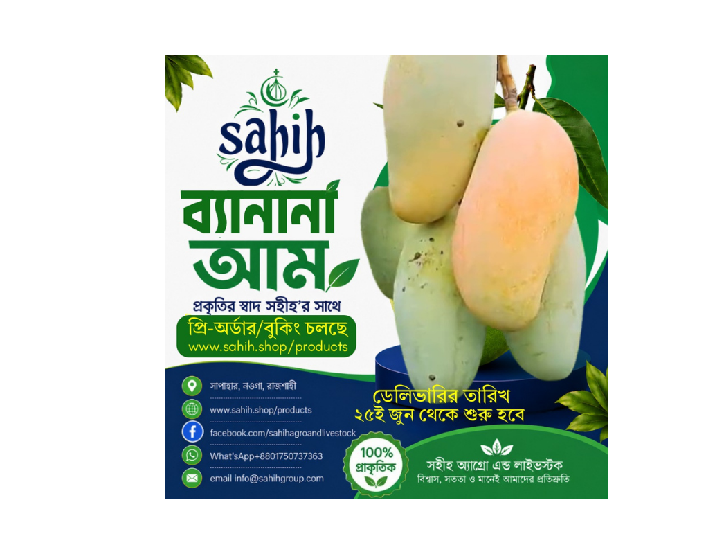 Sahih Fresh Banana Mango  (ব্যানানা, সাপাহার)+ডেলিভারি