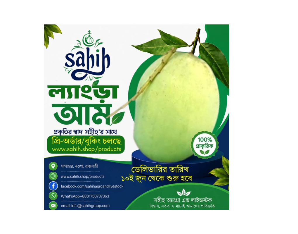 Sahih Fresh Langra Mango  (ল্যাংড়া,সাপাহার)+Stock Out