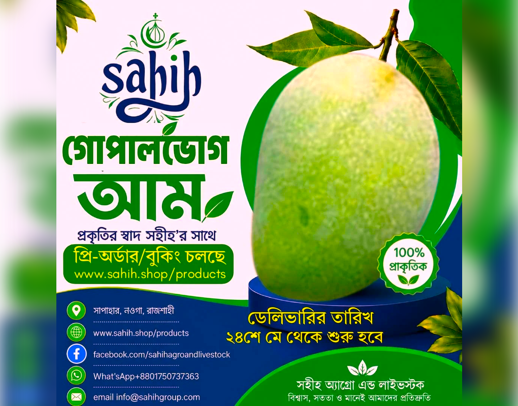 Sahih Premium Gopalbhog Aam (গোপালভোগ,রাজশাহী) ফ্রি-ডেলিভারি